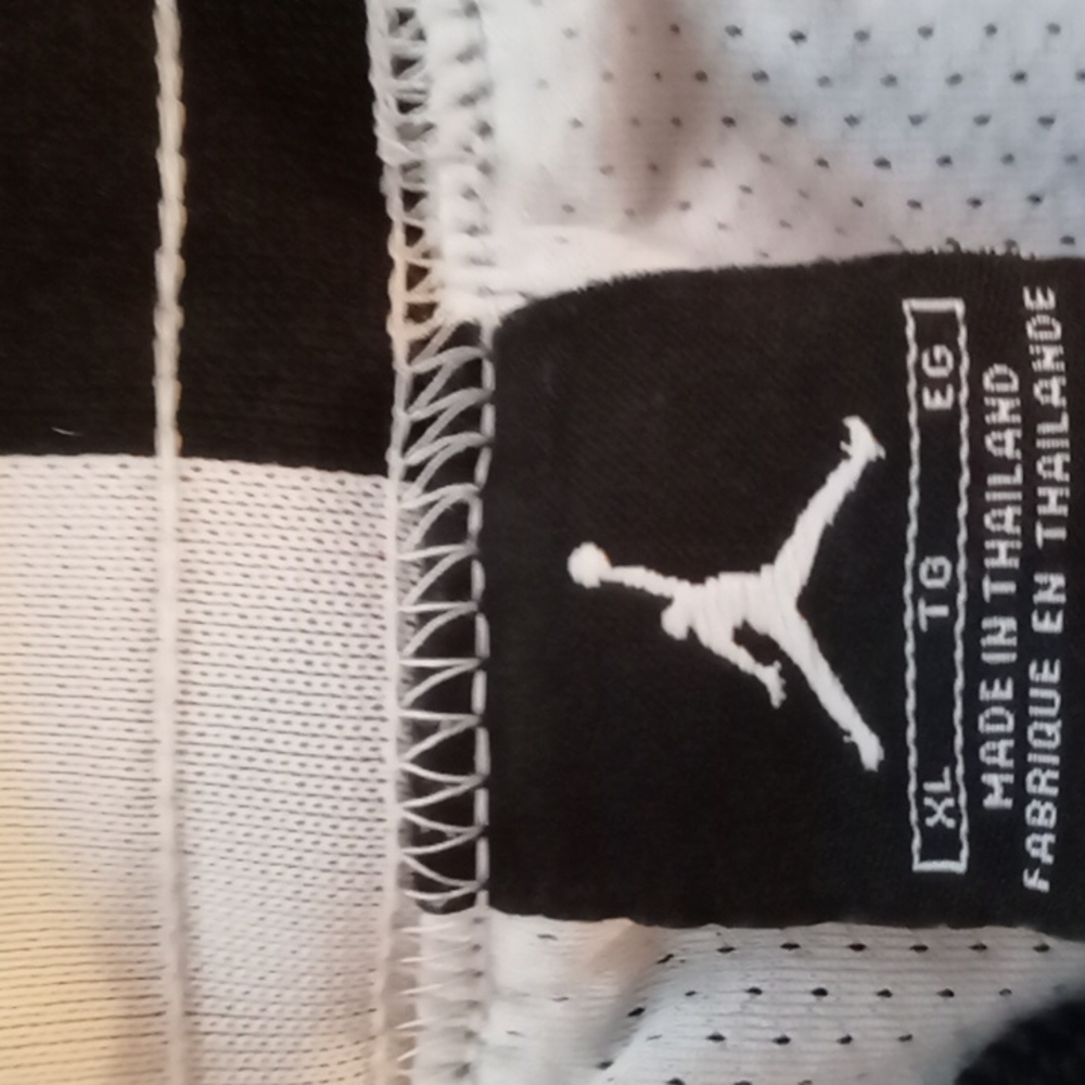 Jordan brand shorts